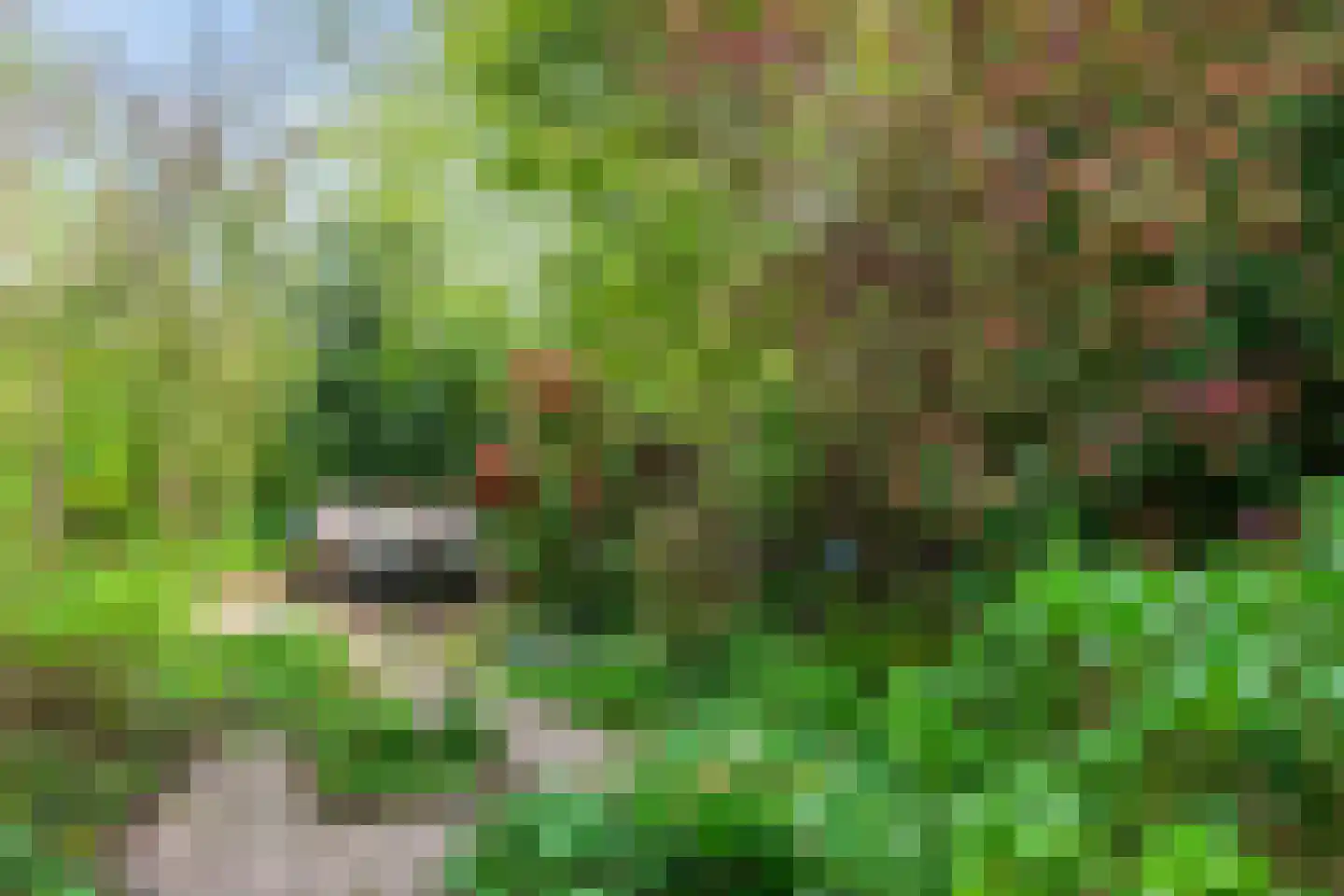 Odijkseweg 2 Houten thumbnail 25