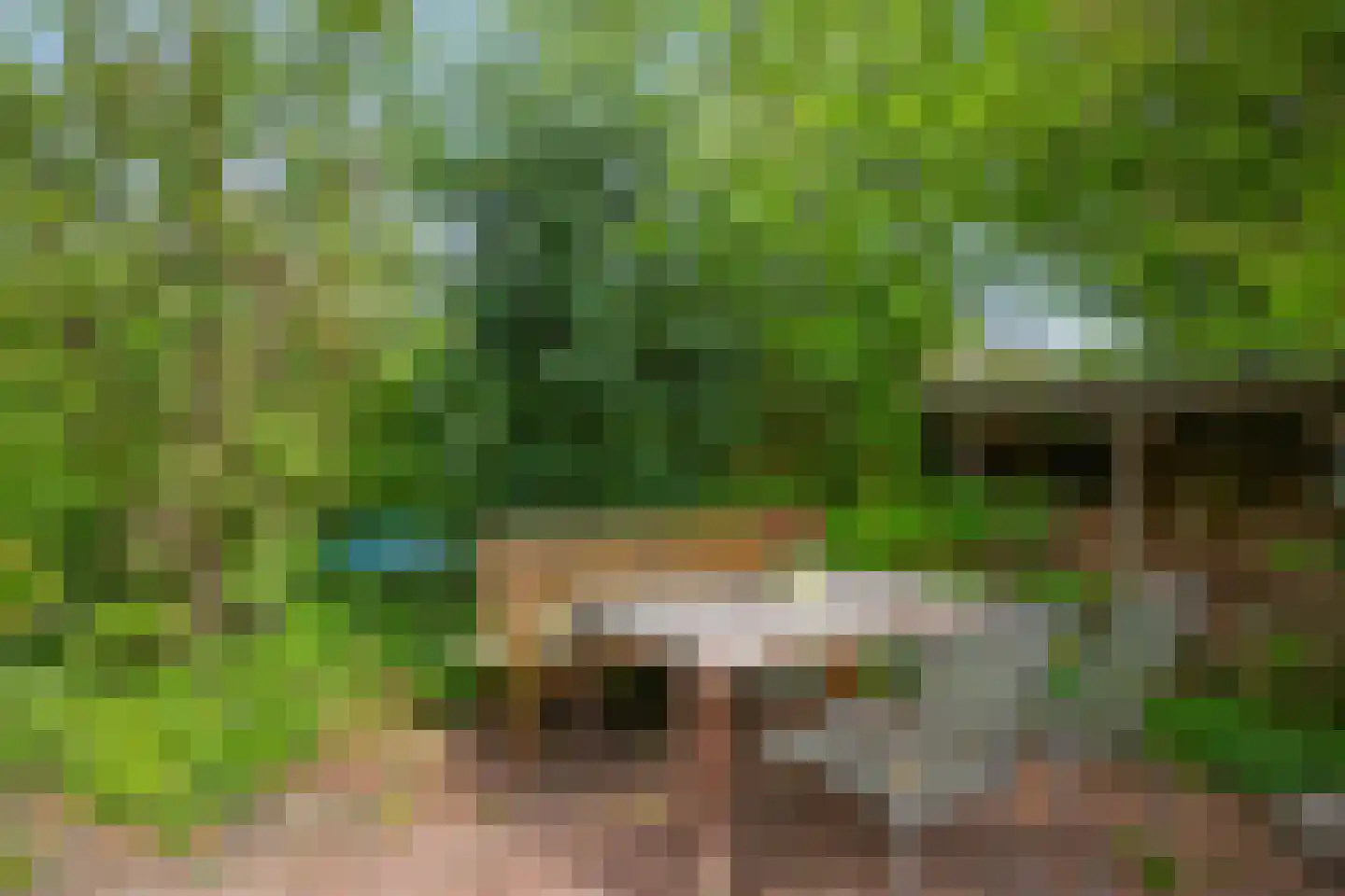 Odijkseweg 2 Houten thumbnail 26