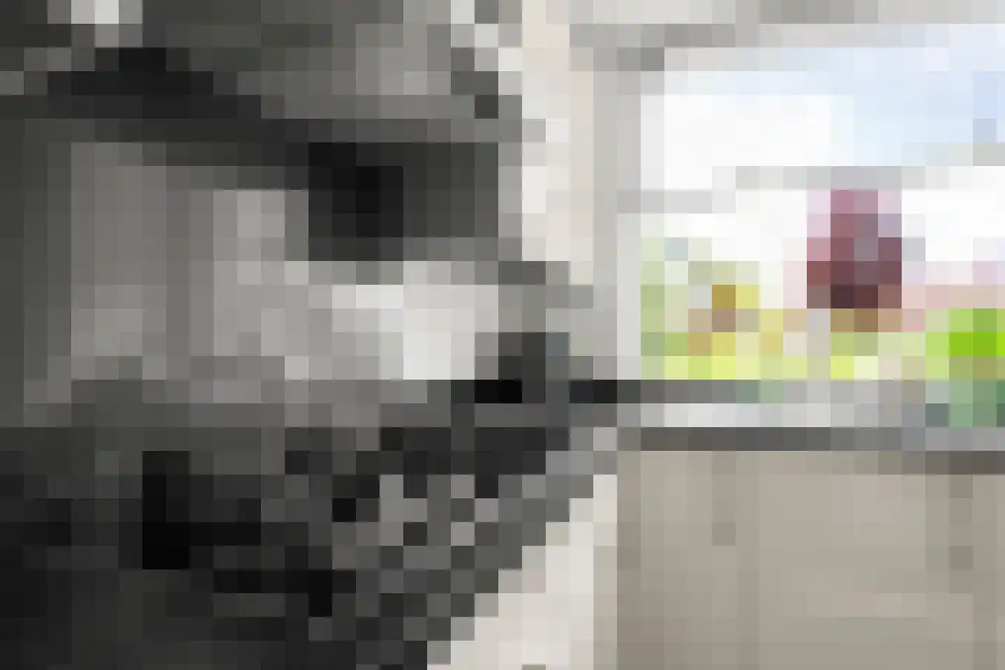Odijkseweg 2 Houten thumbnail 8