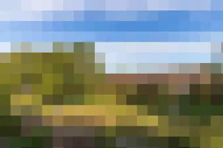 Odiliadonk 38 Roosendaal thumbnail 38