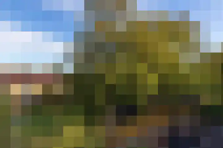 Odiliadonk 38 Roosendaal thumbnail 39