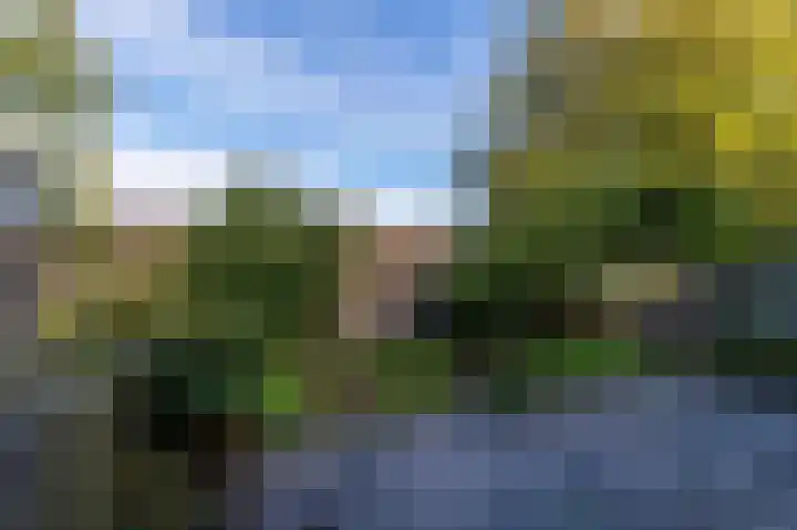 Odiliadonk 38 Roosendaal thumbnail 40