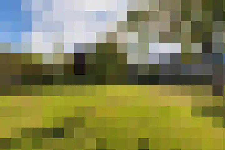 Odiliadonk 38 Roosendaal thumbnail 44