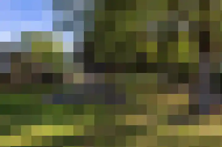 Odiliadonk 38 Roosendaal thumbnail 45