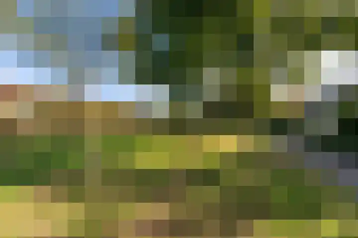 Odiliadonk 38 Roosendaal thumbnail 46