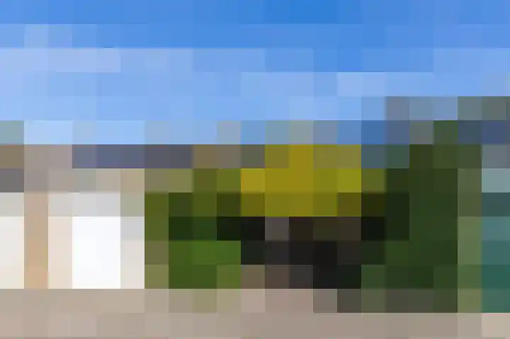 Odiliadonk 38 Roosendaal thumbnail 47