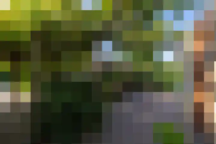 Odiliadonk 38 Roosendaal thumbnail 5