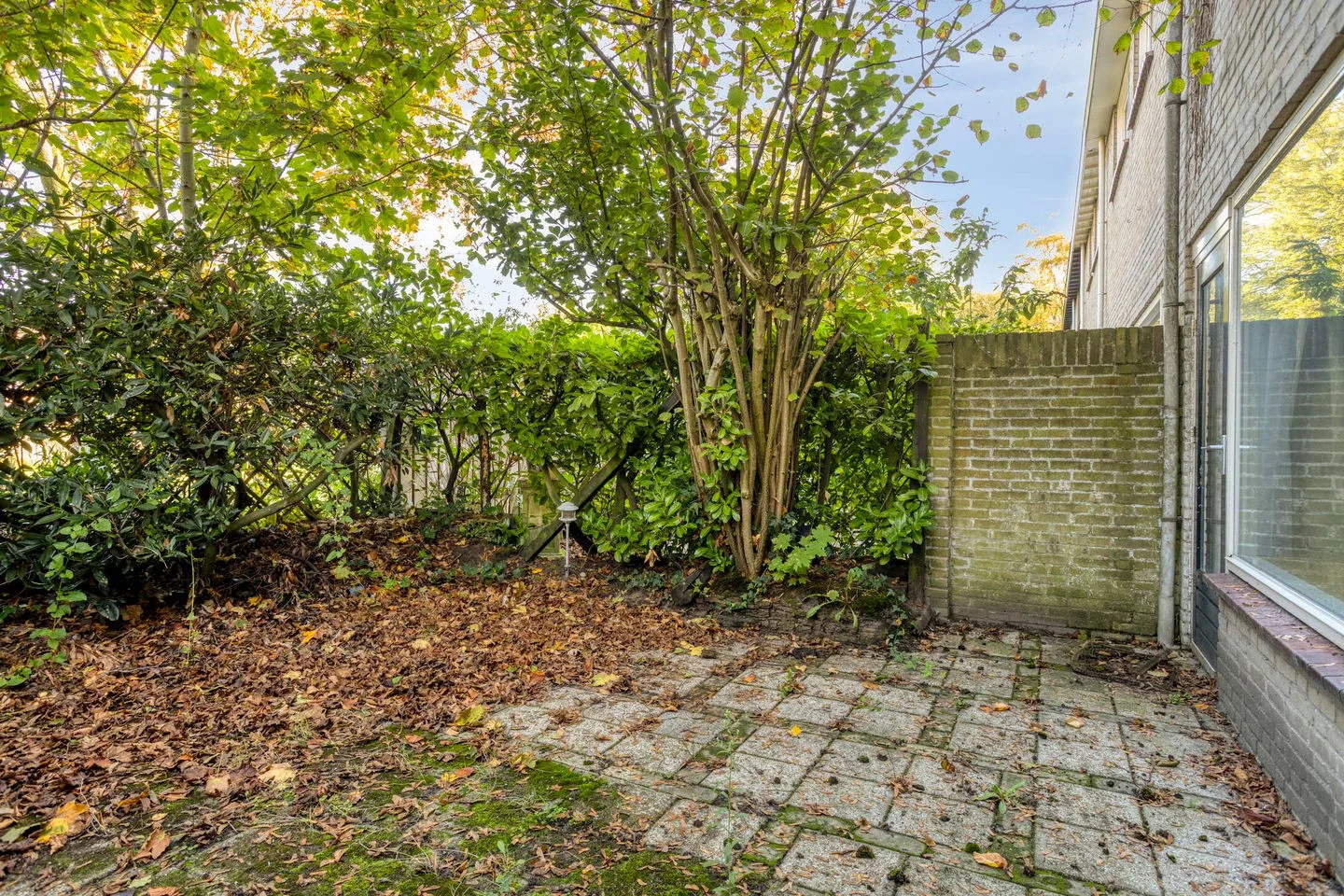 Odiliadonk 44 Roosendaal thumbnail 25