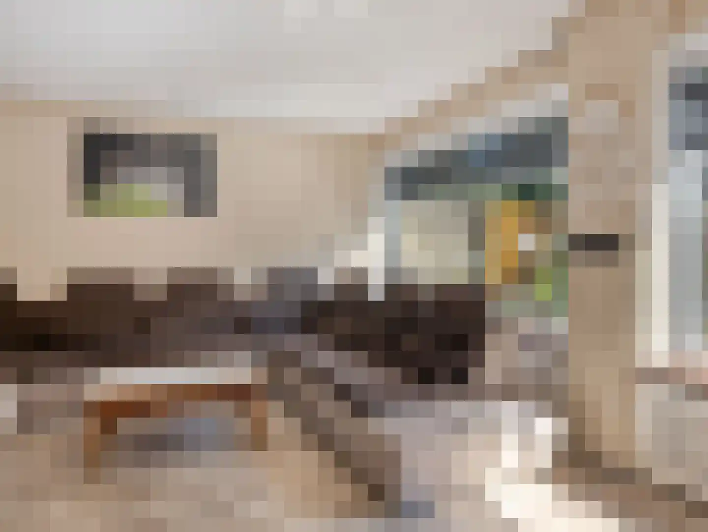 Odiliadonk 48 Roosendaal thumbnail 13