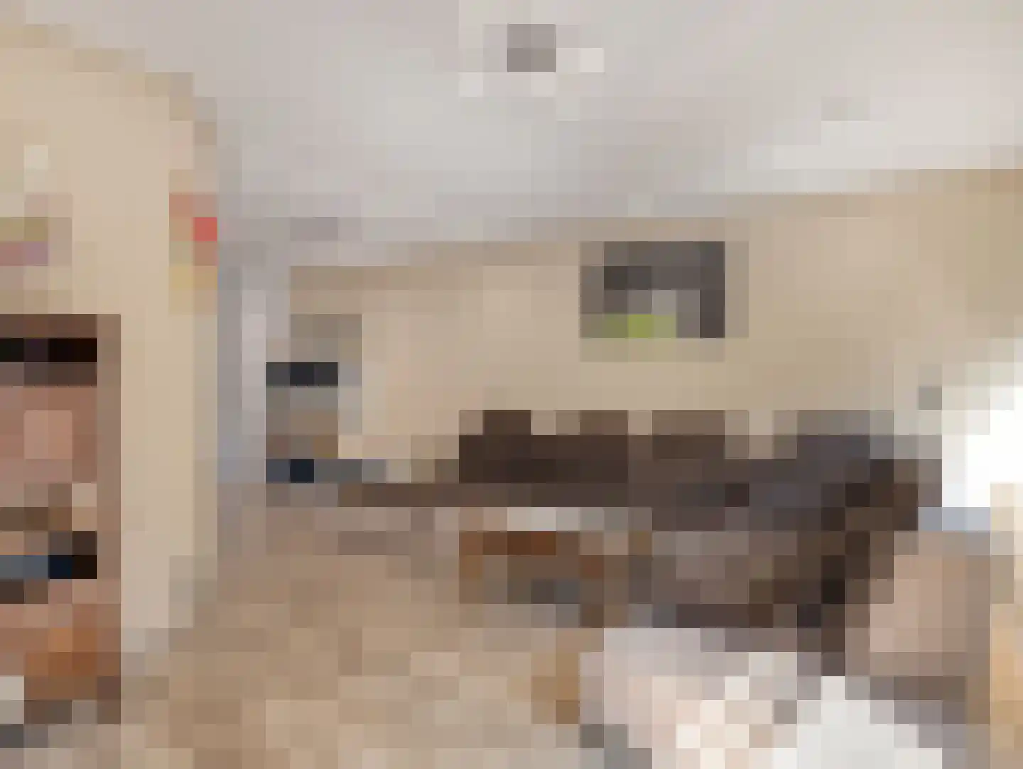 Odiliadonk 48 Roosendaal thumbnail 14