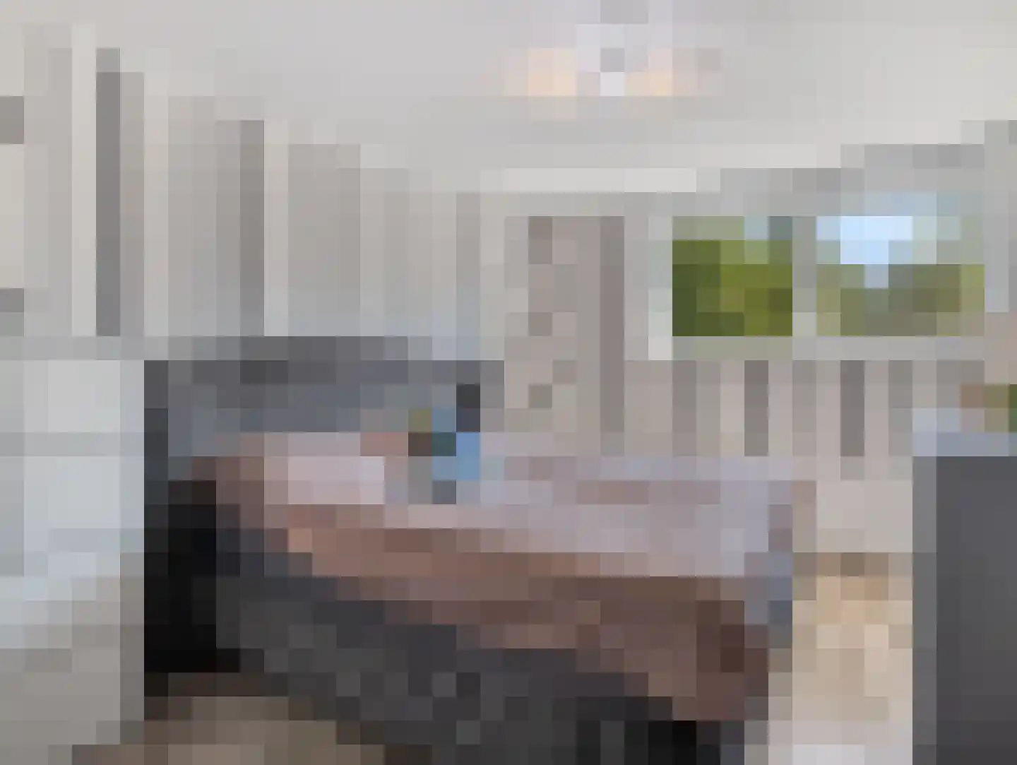 Odiliadonk 48 Roosendaal thumbnail 15