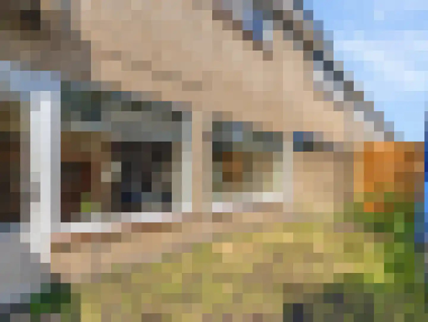 Odiliadonk 48 Roosendaal thumbnail 35