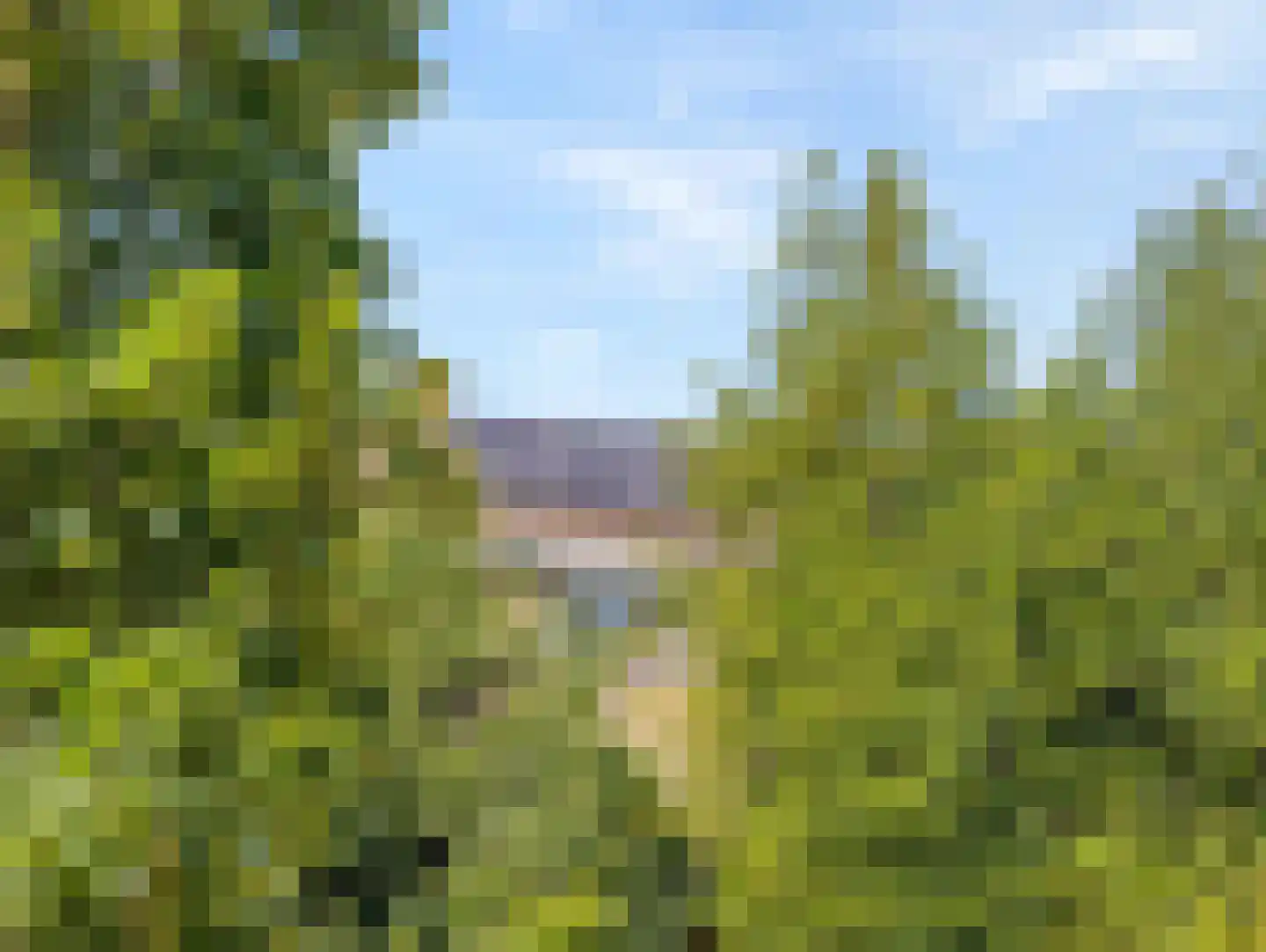 Odiliadonk 48 Roosendaal thumbnail 37