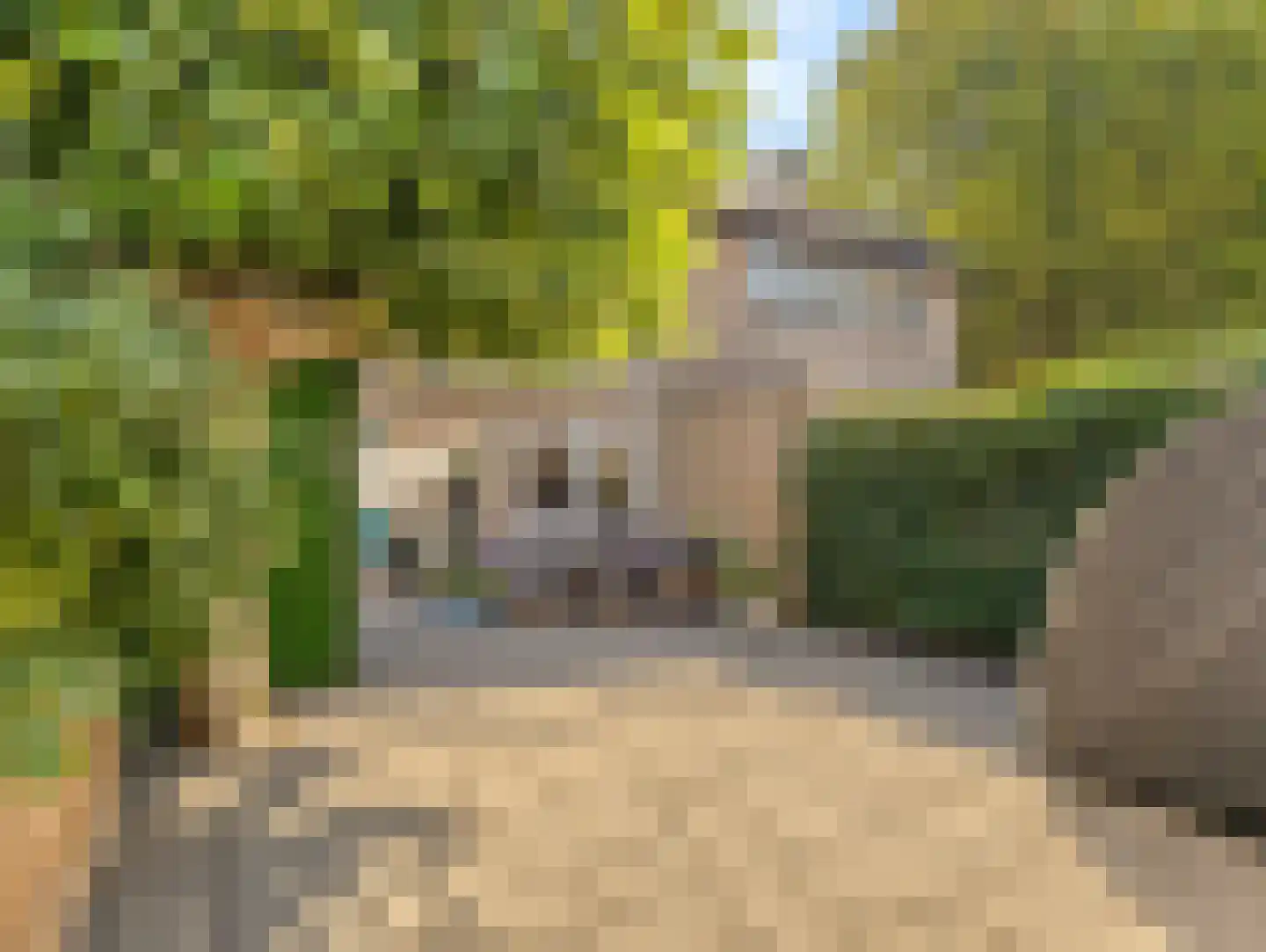 Odiliadonk 48 Roosendaal thumbnail 40