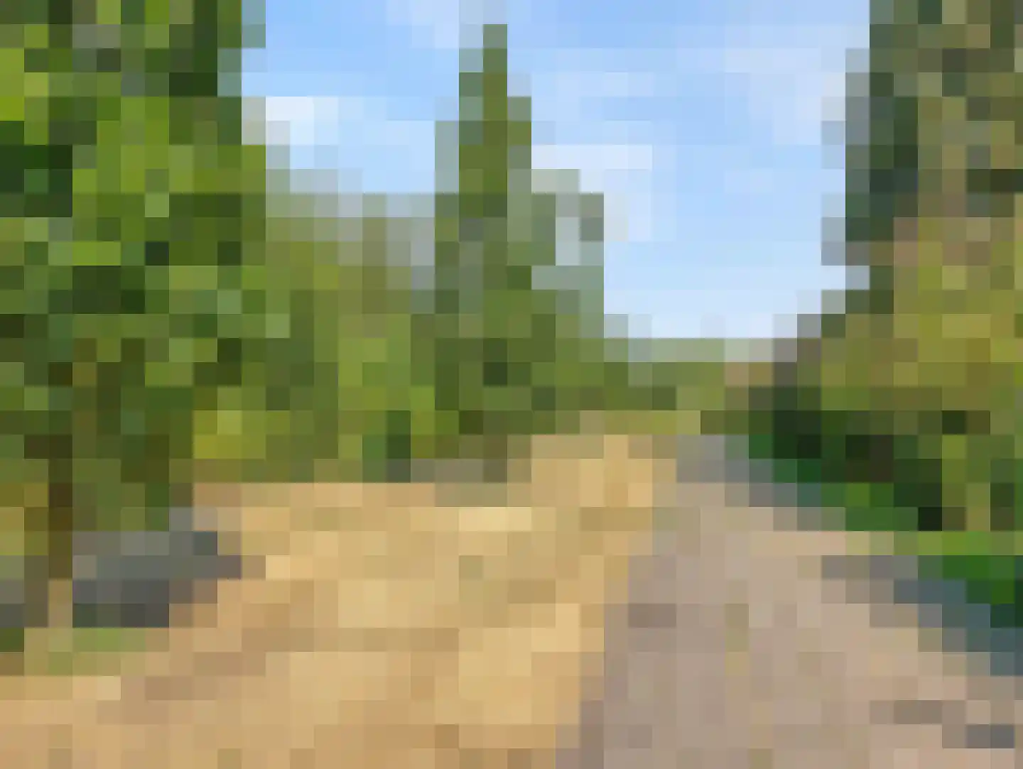Odiliadonk 48 Roosendaal thumbnail 47