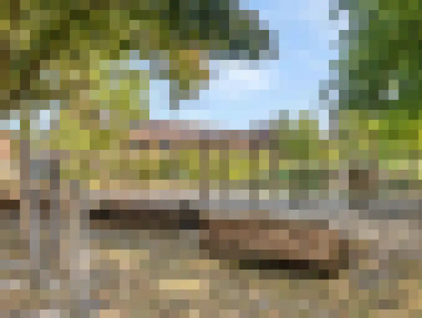 Odiliadonk 48 Roosendaal thumbnail 48