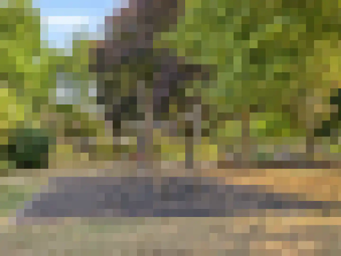 Odiliadonk 48 Roosendaal thumbnail 49