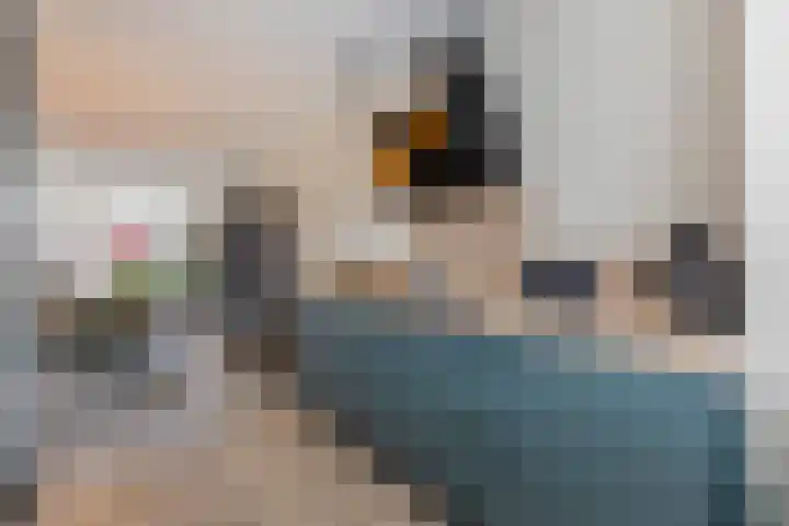 Odiliapeelstraat 33 Tilburg thumbnail 10