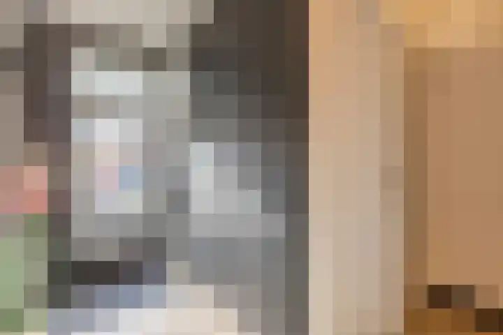 Odiliapeelstraat 33 Tilburg thumbnail 11