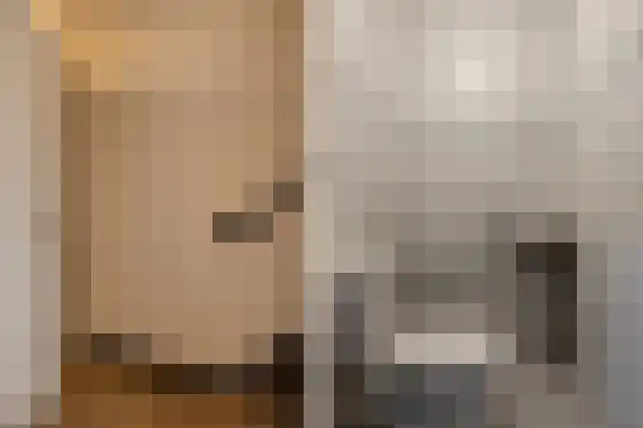 Odiliapeelstraat 33 Tilburg thumbnail 12