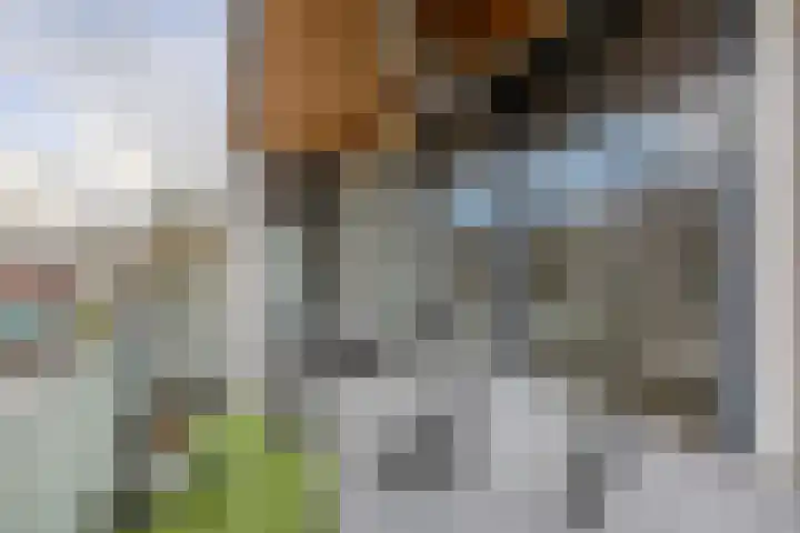 Odiliapeelstraat 33 Tilburg thumbnail 20