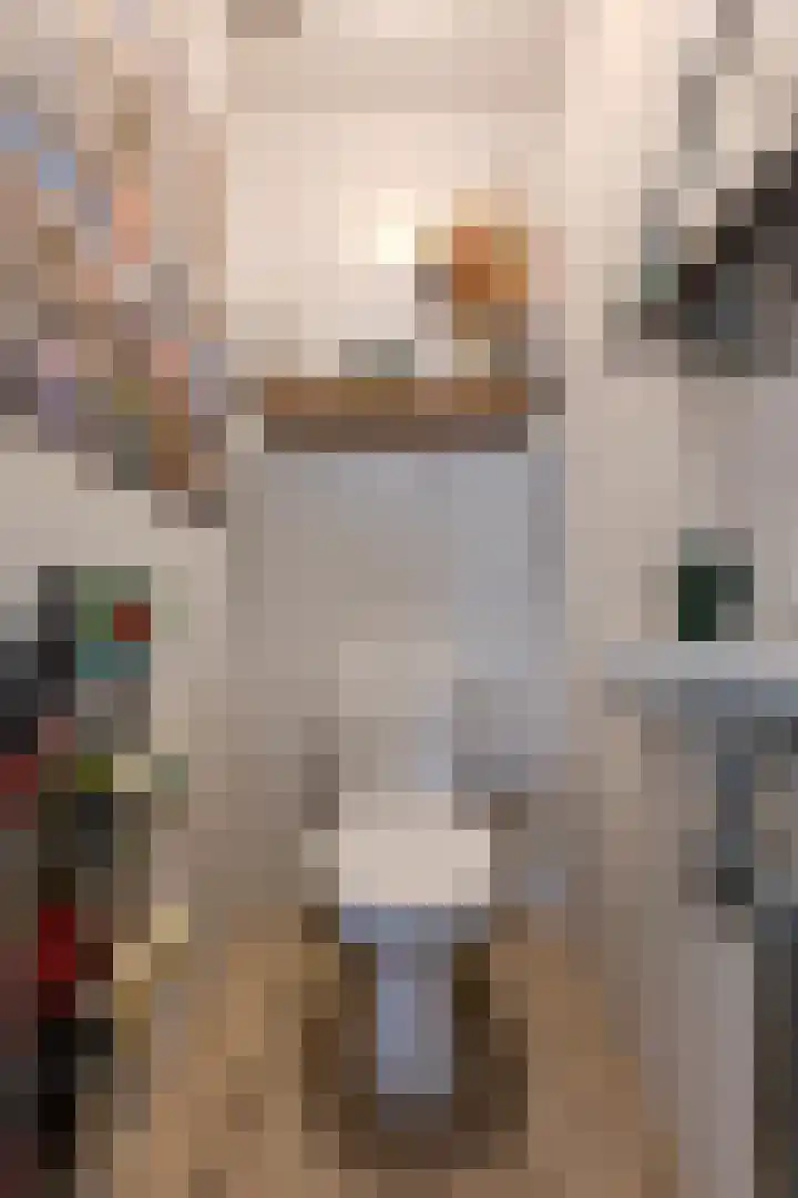 Odiliapeelstraat 33 Tilburg thumbnail 23