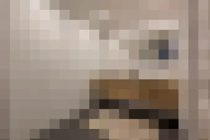 Odiliapeelstraat 33 Tilburg thumbnail 24
