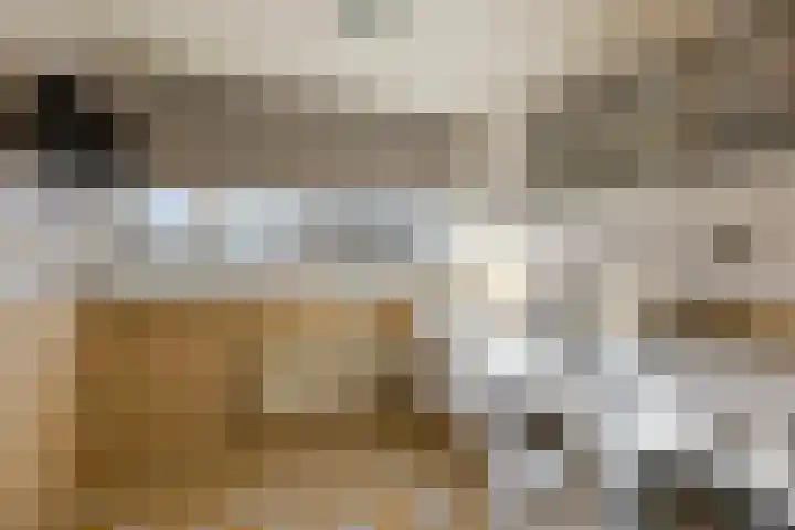 Odiliapeelstraat 33 Tilburg thumbnail 33