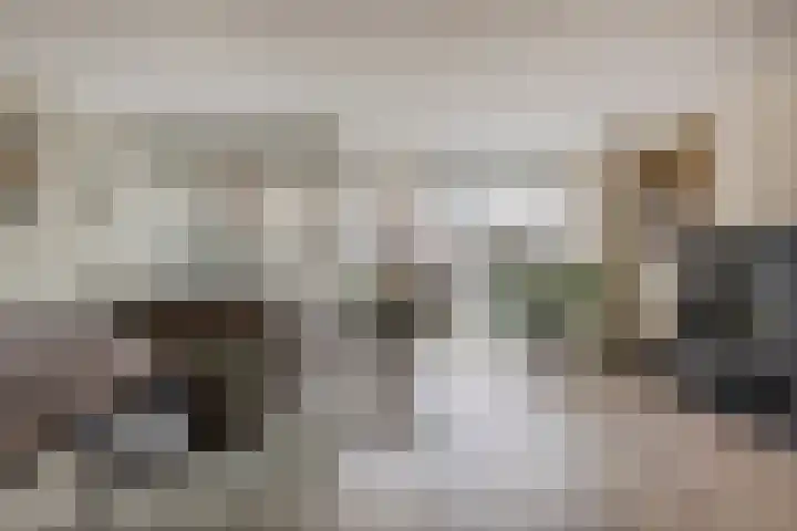 Odiliapeelstraat 33 Tilburg thumbnail 4