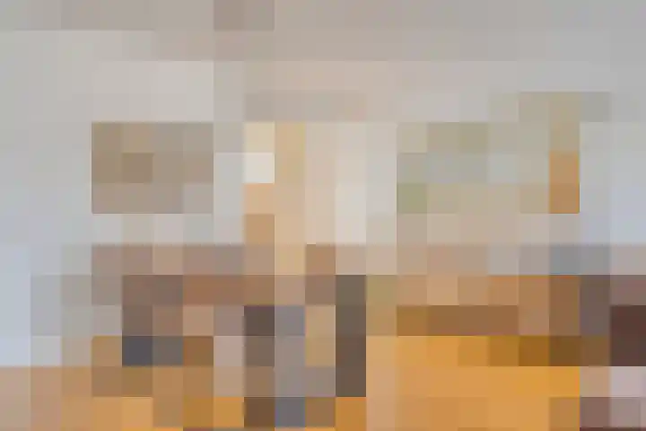 Odiliapeelstraat 9 Tilburg thumbnail 10