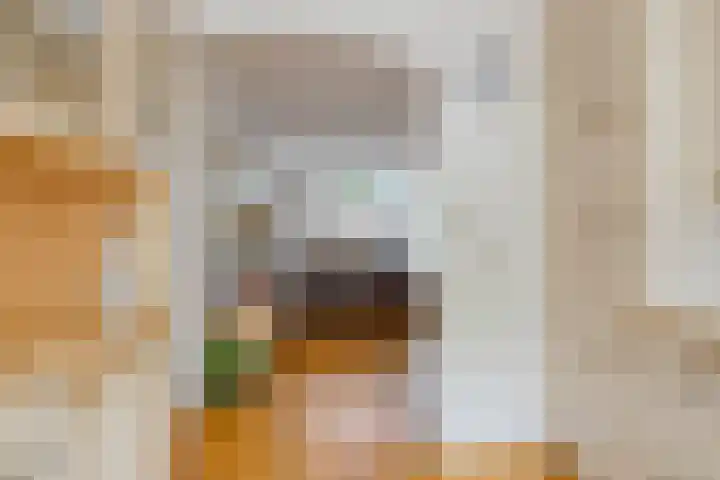 Odiliapeelstraat 9 Tilburg thumbnail 15