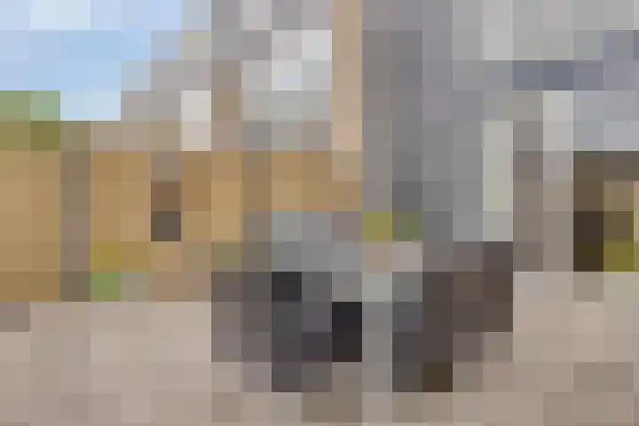 Odiliapeelstraat 9 Tilburg thumbnail 34