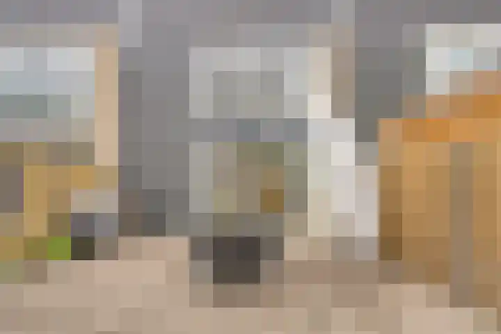 Odiliapeelstraat 9 Tilburg thumbnail 35
