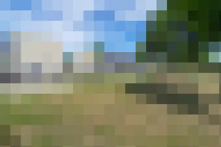 Odiliapeelstraat 9 Tilburg thumbnail 48