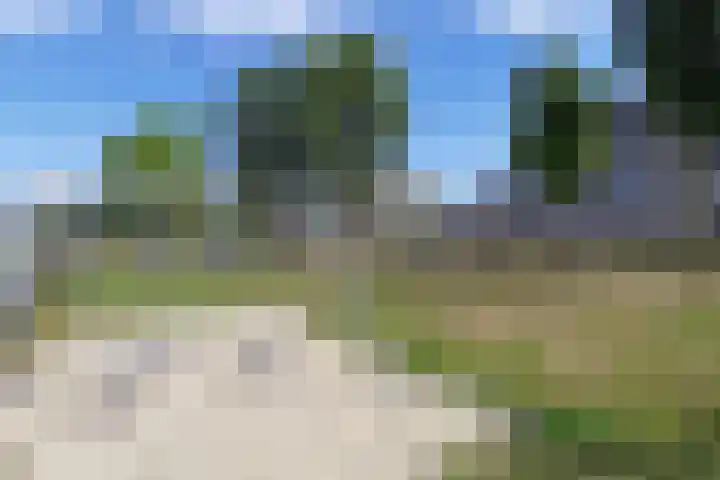 Odiliapeelstraat 9 Tilburg thumbnail 49