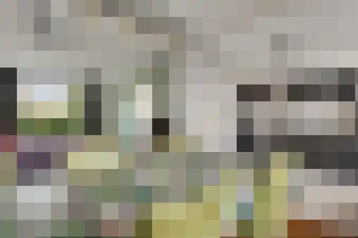 Odiliaplein 2 Sweikhuizen thumbnail 10