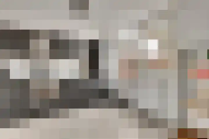 Odiliaplein 2 Sweikhuizen thumbnail 11