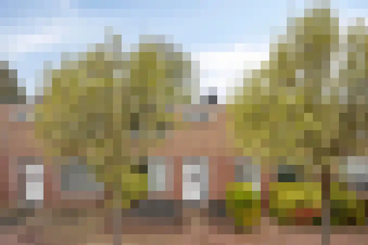 Odiliaplein 3 Sweikhuizen thumbnail 4
