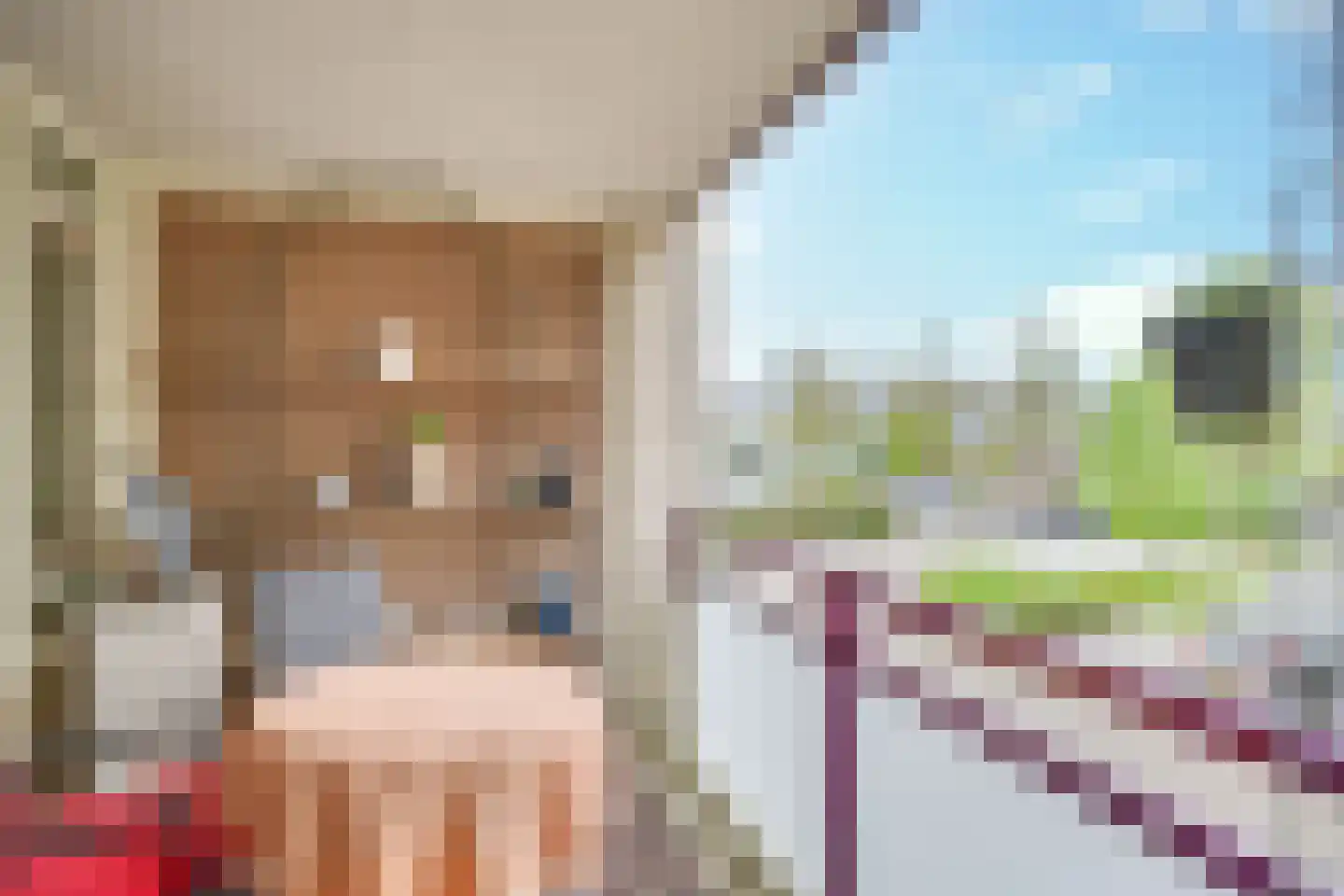 Odiliastraat 26 Uden thumbnail 18