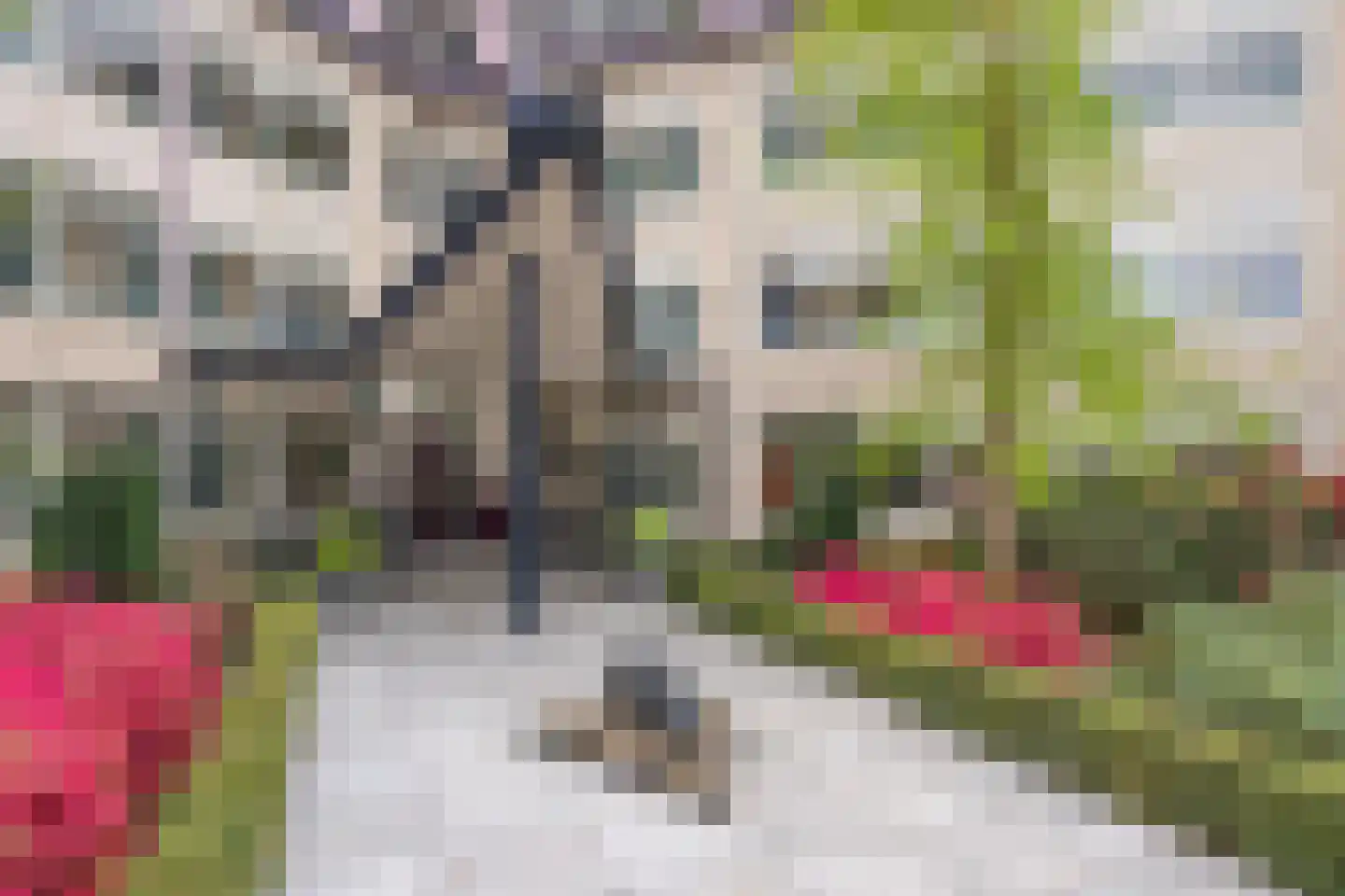 Odiliastraat 26 Uden thumbnail 22