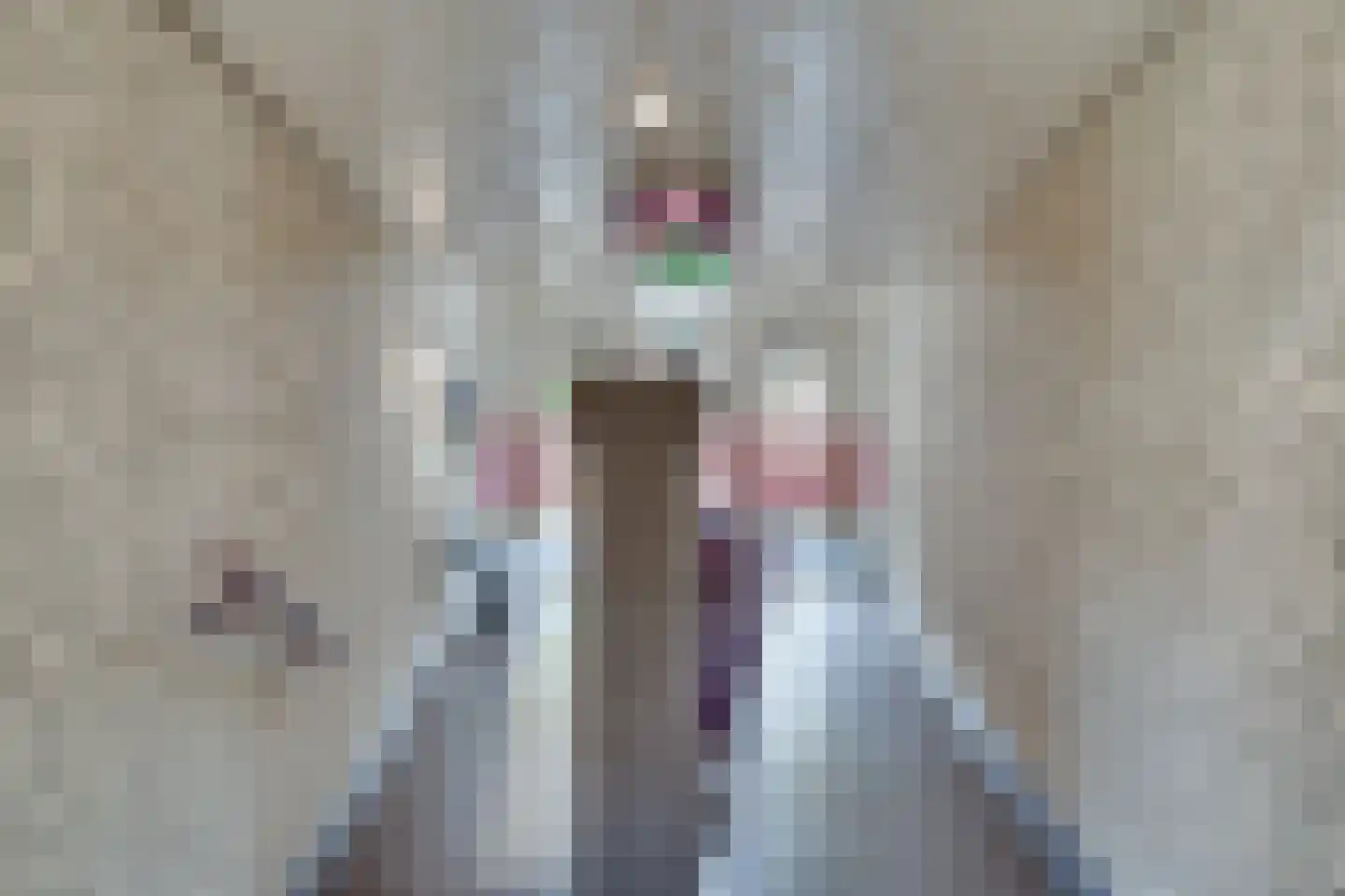 Odiliastraat 26 Uden thumbnail 5