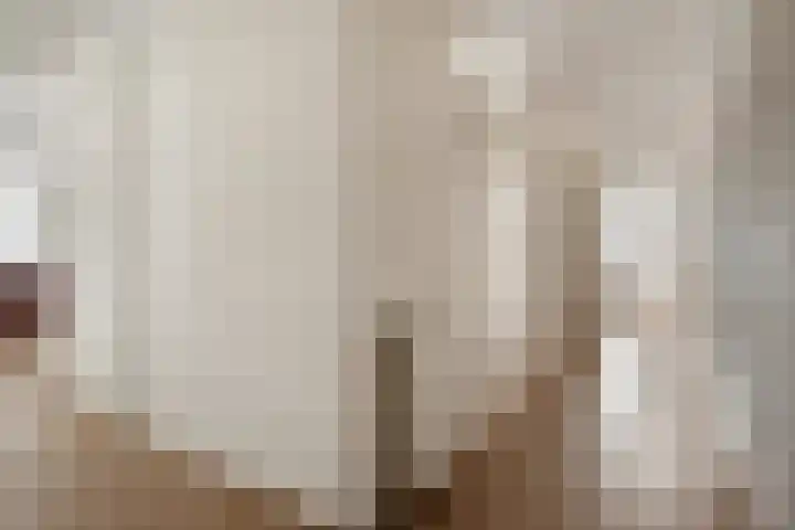 Odiliastraat 4 Uden thumbnail 11