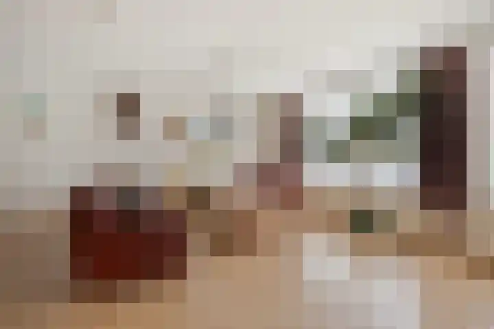 Odiliastraat 4 Uden thumbnail 14