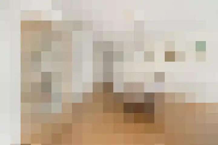Odiliastraat 4 Uden thumbnail 19