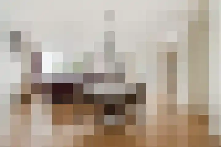 Odiliastraat 4 Uden thumbnail 20