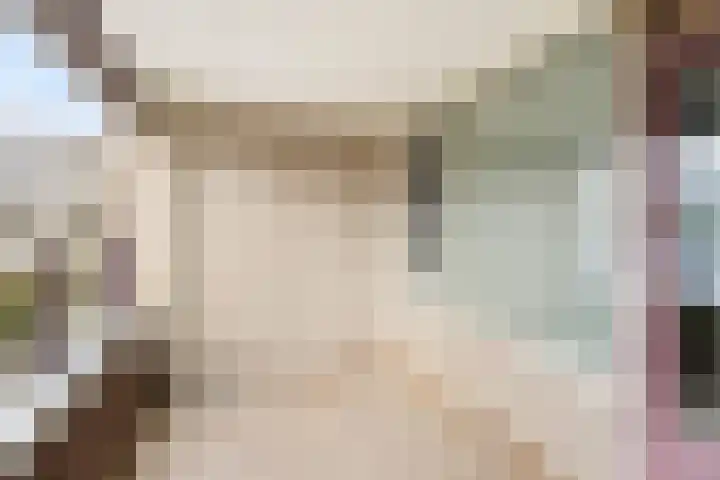 Odiliastraat 4 Uden thumbnail 25