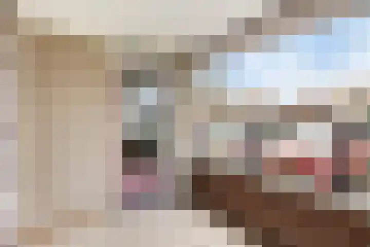 Odiliastraat 4 Uden thumbnail 26