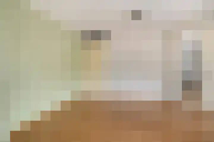 Odiliastraat 4 Uden thumbnail 28