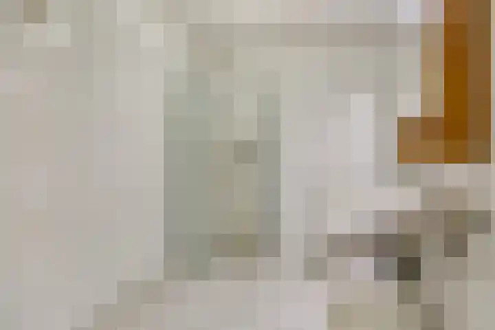 Odiliastraat 4 Uden thumbnail 29