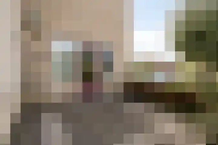 Odiliastraat 4 Uden thumbnail 34